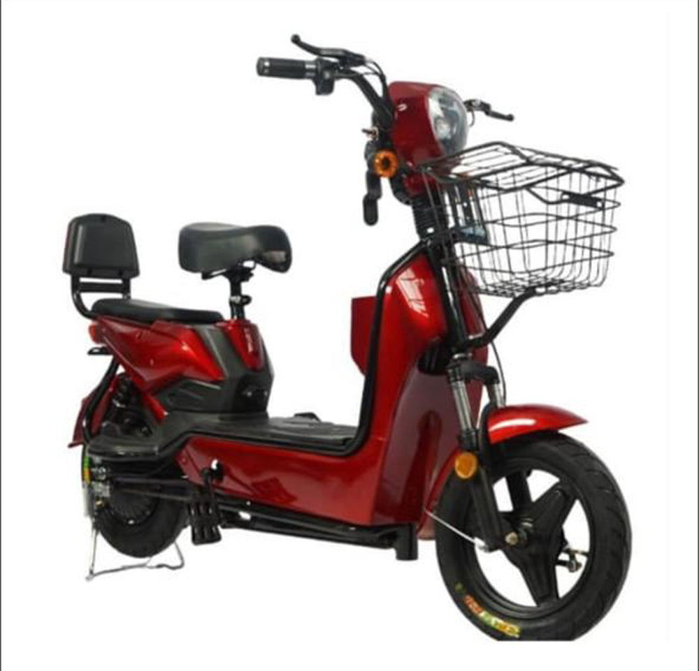 Red Travel Toy Bike